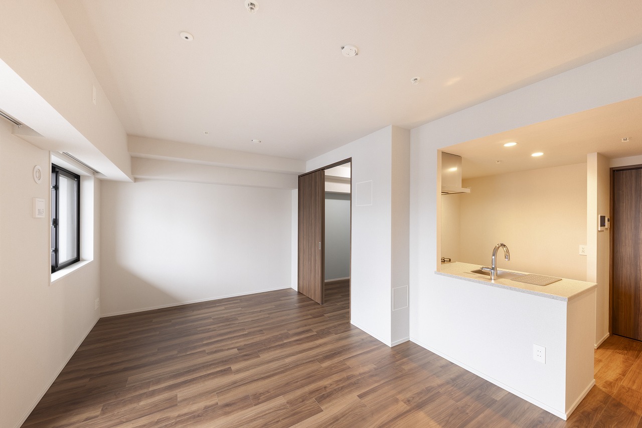 Living Dining Kitchen(B type)